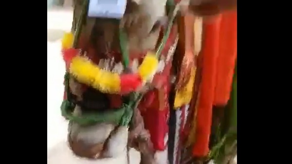 క్యూఆర్ కోడ్ స్కాన్