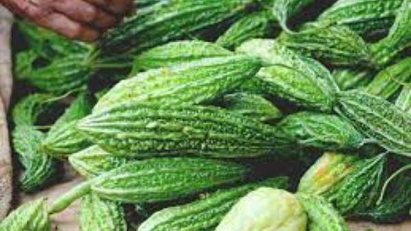 యాంటీ ఆక్సిడెంట్లు యాంటీ ఆక్సిడెంట్లు