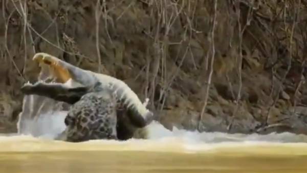 రెండేళ్ల క్రితం రెండేళ్ల క్రితం