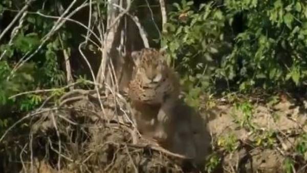 2.6 మిలియన్ల వ్యూస్ 2.6 మిలియన్ల వ్యూస్