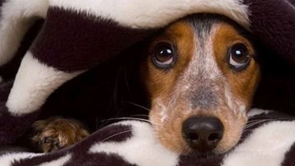 జూన్‌‌లో అనారోగ్యం..