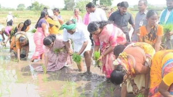  తాజాగా జగిత్యాల జిల్లాలోనూ మహిళా కూలీలతో కలిసి నాట్లేసిన కొప్పుల 
