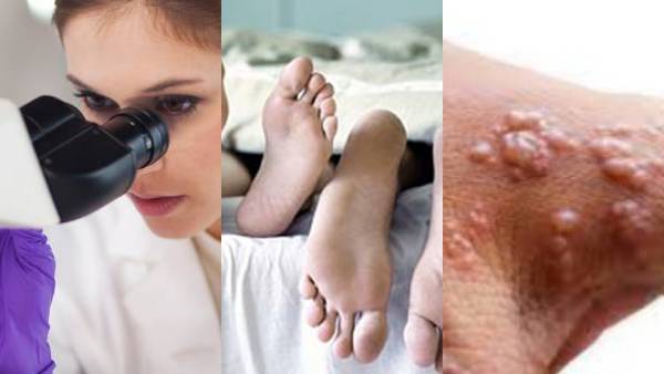 గే, బైసెక్సువల్స్..