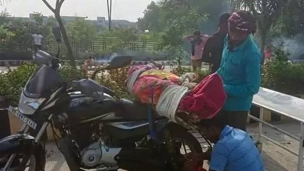 చెక్క పలకలపై చెక్క పలకలపై