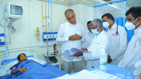 దర్యాప్తుకు ఆదేశించిన ప్రభుత్వం