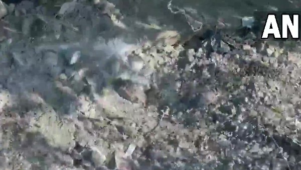 జమ్మూ కాశ్మీర్ లో భద్రత కట్టుదిట్టం 