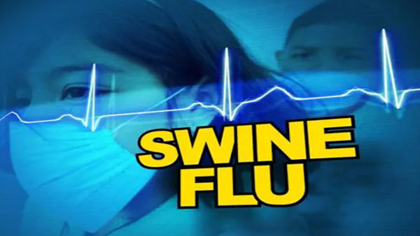  స్వైన్ ఫ్లూ కలకలం..