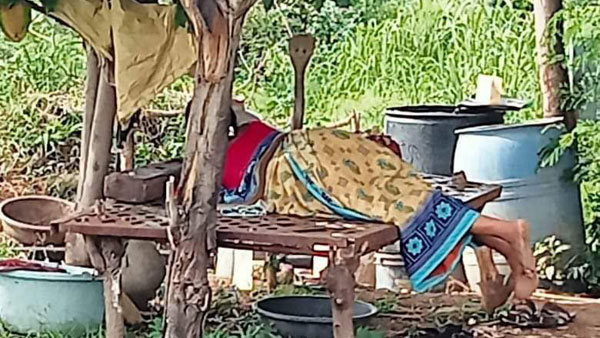 A video of a cobra on a woman is going viral on social media A video of a cobra on a woman is going viral on social media