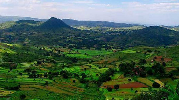 అరకు, చింతపల్లిలో అడ్డా