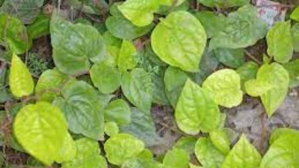 గాయాలు, వాపు