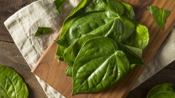 మానసిక స్థితి