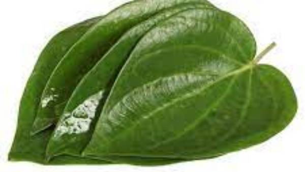  క్యాన్సర్ నిరోధకాలు