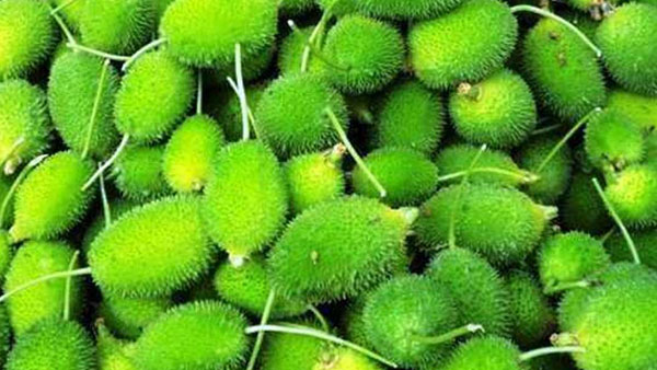 డయాబెటిక్