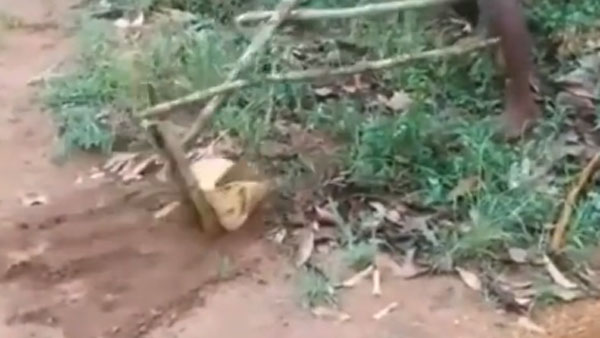 వెన్నుతట్టాల్సిందే..? వెన్నుతట్టాల్సిందే..?