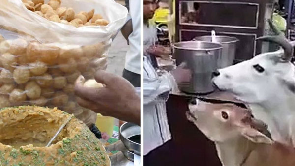 68 వేలకు పైగా వ్యూస్