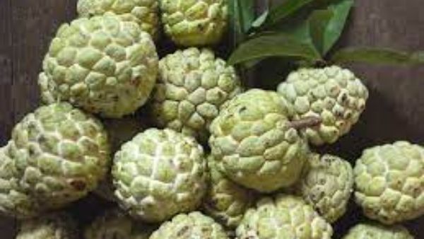 ఔషధ తయారీలో