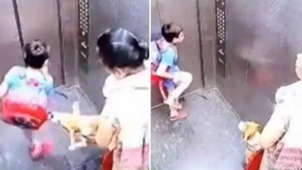Watch:Pet dog bites child in lift Watch:Pet dog bites child in lift