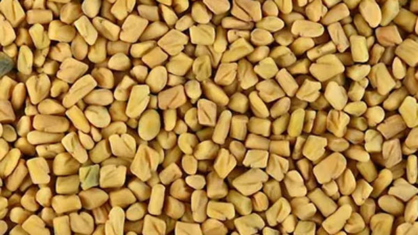 పోషకాలు