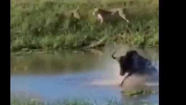 73 వేలకు పైగా వ్యూస్