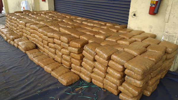 ఆగని గంజాయి అక్రమ దందా