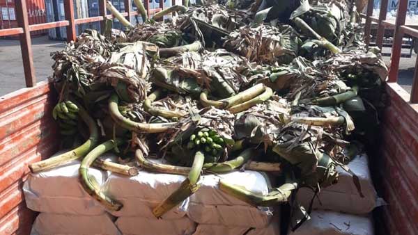 తాజాగా విశాఖ నుండి ఢిల్లీకి వరంగల్ మీదుగా రవాణా చేస్తున్న ముఠా అరెస్ట్