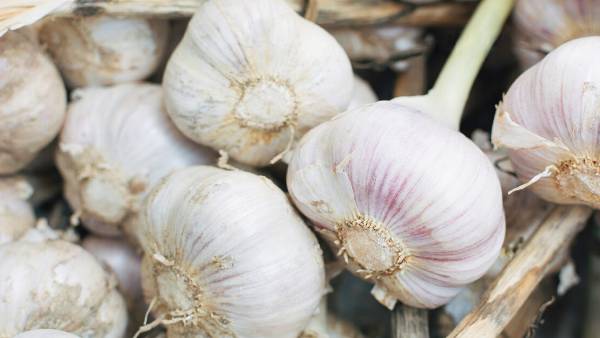 రక్తహీతన