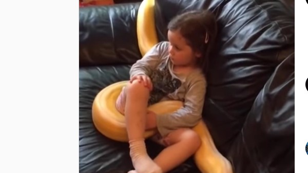 12 ఫీట్ల కొండ చిలువ 12 ఫీట్ల కొండ చిలువ