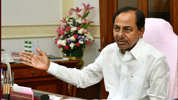 పార్టీ జెండా - అజెండా ఖరారు