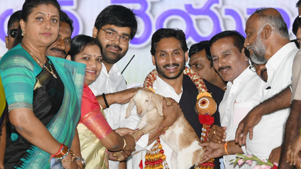 అదే దూకుడుతో.. అదే దూకుడుతో..