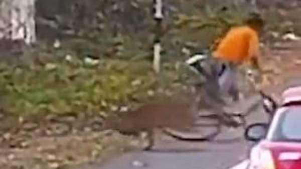 డెహ్రడూన్, రుషికేశ్ రహదారి