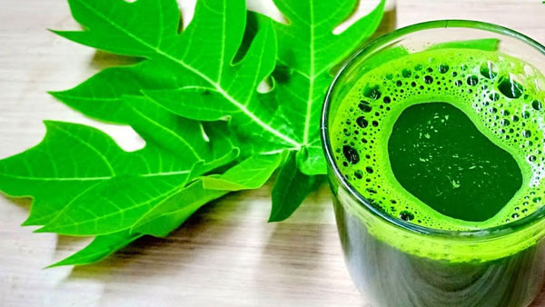 ప్లేట్ లేట్స్