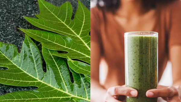 యాంటీఆక్సిడెంట్