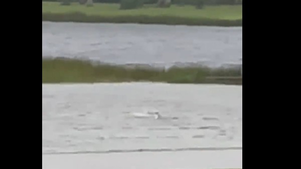 హరికేన్