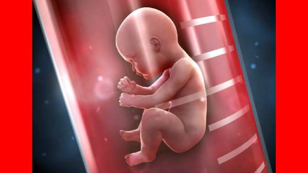 అబార్షను అనుమతించకపోవడం ఆ స్ఫూర్తికి విఘాతమే అబార్షను అనుమతించకపోవడం ఆ స్ఫూర్తికి విఘాతమే