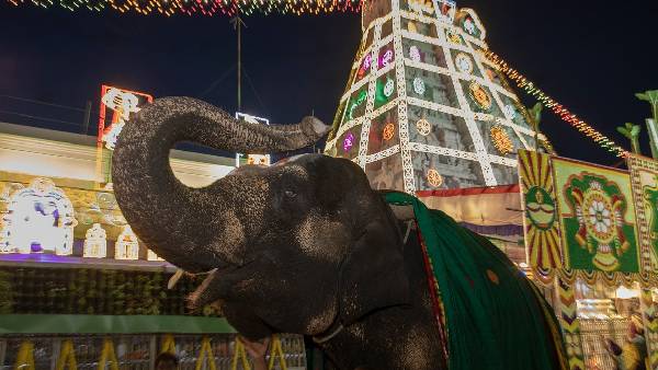 గోవిందా గోవిందా