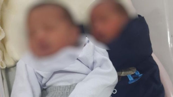 బ్రెజిల్ బ్రెజిల్