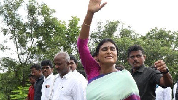 తాను వైఎస్సార్ బిడ్డ.. పులి కడుపున పులే పుడుతుందన్న షర్మిళ.. తాను వైఎస్సార్ బిడ్డ.. పులి కడుపున పులే పుడుతుందన్న షర్మిళ..
