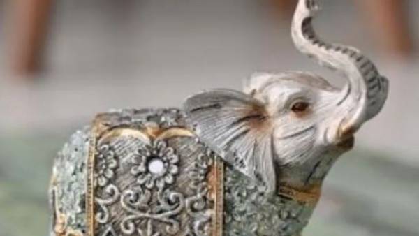 సంపద కోసం ఇంట్లో వీటిని పెట్టుకోండి