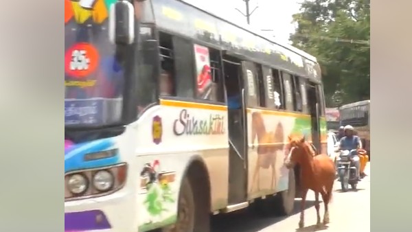 ఫొటో చూసి..