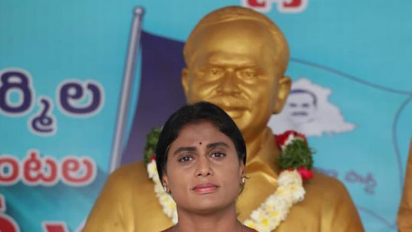 నేను వైఎస్సార్ బిడ్డను అంటూ