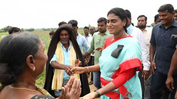 మంత్రి శ్రీనివాస్ గౌడ్ కు వైఎస్ షర్మిల షాక్ .. కబ్జాల ఆరోపణలు చేసిన షర్మిల