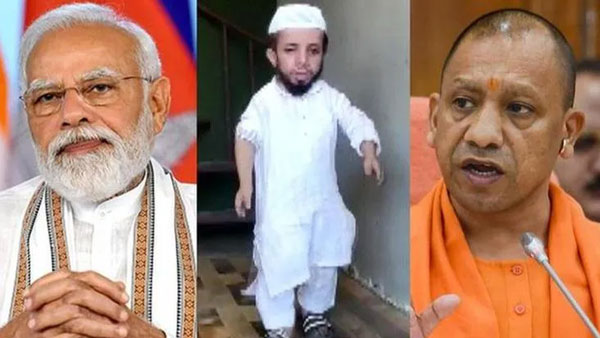 ఎత్తు 2.3 అడుగులు