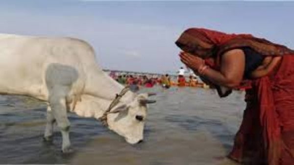 గోపాష్టమి విశిష్టతను తెలిపే కథ .. బృందావనంపై ఇంద్రుడి ఆగ్రహం గోపాష్టమి విశిష్టతను తెలిపే కథ .. బృందావనంపై ఇంద్రుడి ఆగ్రహం