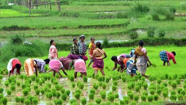  రైతు అనుకూల నిర్ణయాలతో