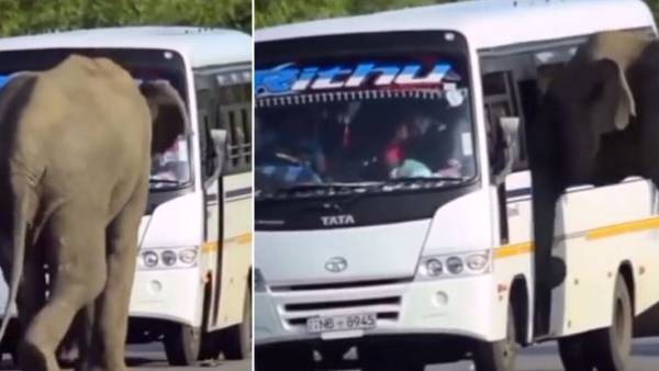  138కే వ్యూస్