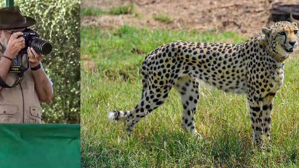 అంతరంచిపోతున్న జాతుల జాబితాలో..