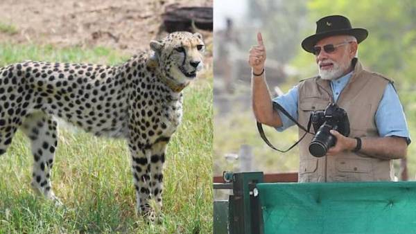 నెలాఖరులోగా..