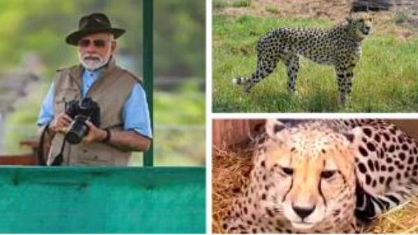 మోదీ నామకరణం..