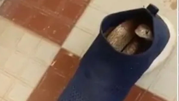 డౌట్ వ‌చ్చి..