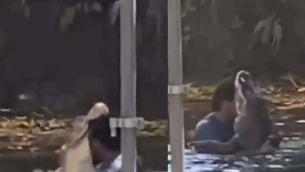 మొసలితో డ్యాన్స్